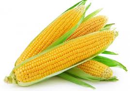 Fresh Corn(per piece)